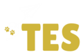 tes