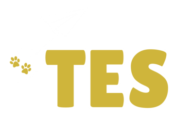 tes